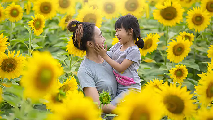 什麼是小臼齒？
