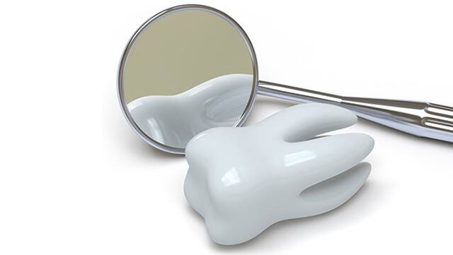 牙科口腔鏡與臼齒模型