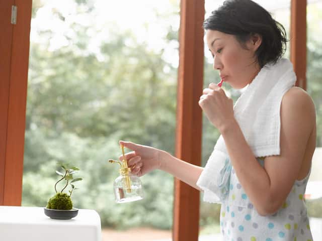 披毛巾的人用噴霧瓶澆室內盆栽