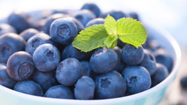 白碗盛滿藍莓，新鮮薄荷點綴