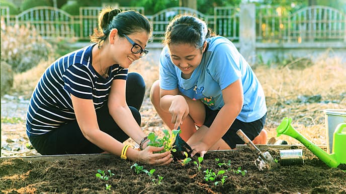 Mother And Young Daughter Planting Vegetable In Home Garden Field Use For People Family And Single M