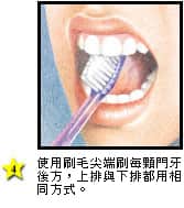 如何清潔門牙後面 - 高露潔香港