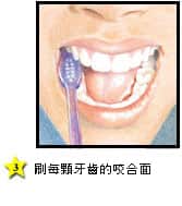 如何清潔牙齒咬合面 - 高露潔香港
