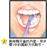 如何清潔牙齒内部 - 高露潔香港